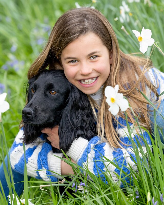 Princess Charlotte sits in a field of white daffodils, joined by the family cocker spaniel, Orla for her 8th birthday photo portrait by Millie Pilkington